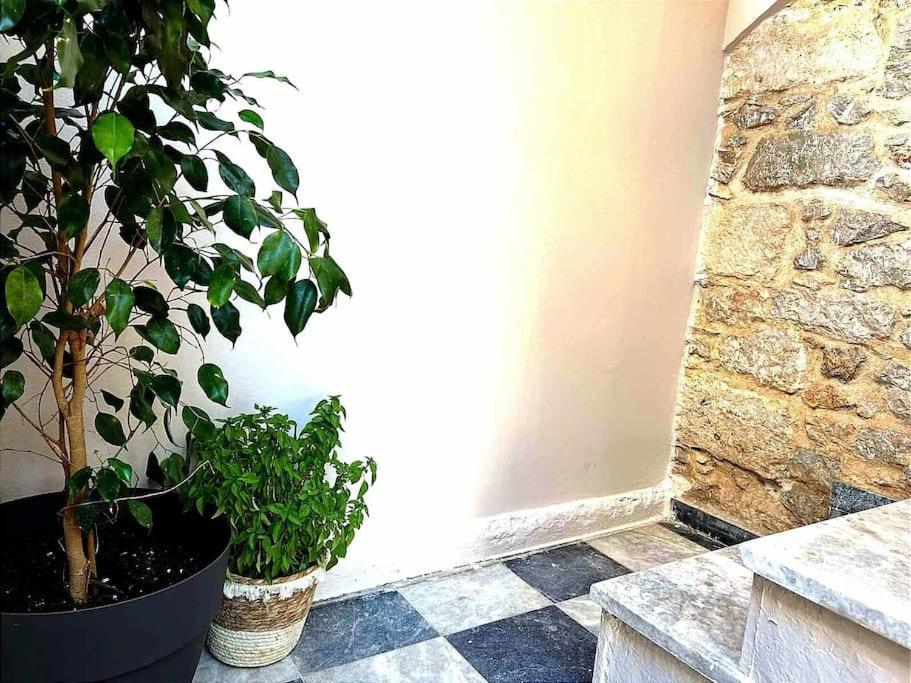 Ammoudara'S Apartments Rooftop Kalymnos Town Bagian luar foto